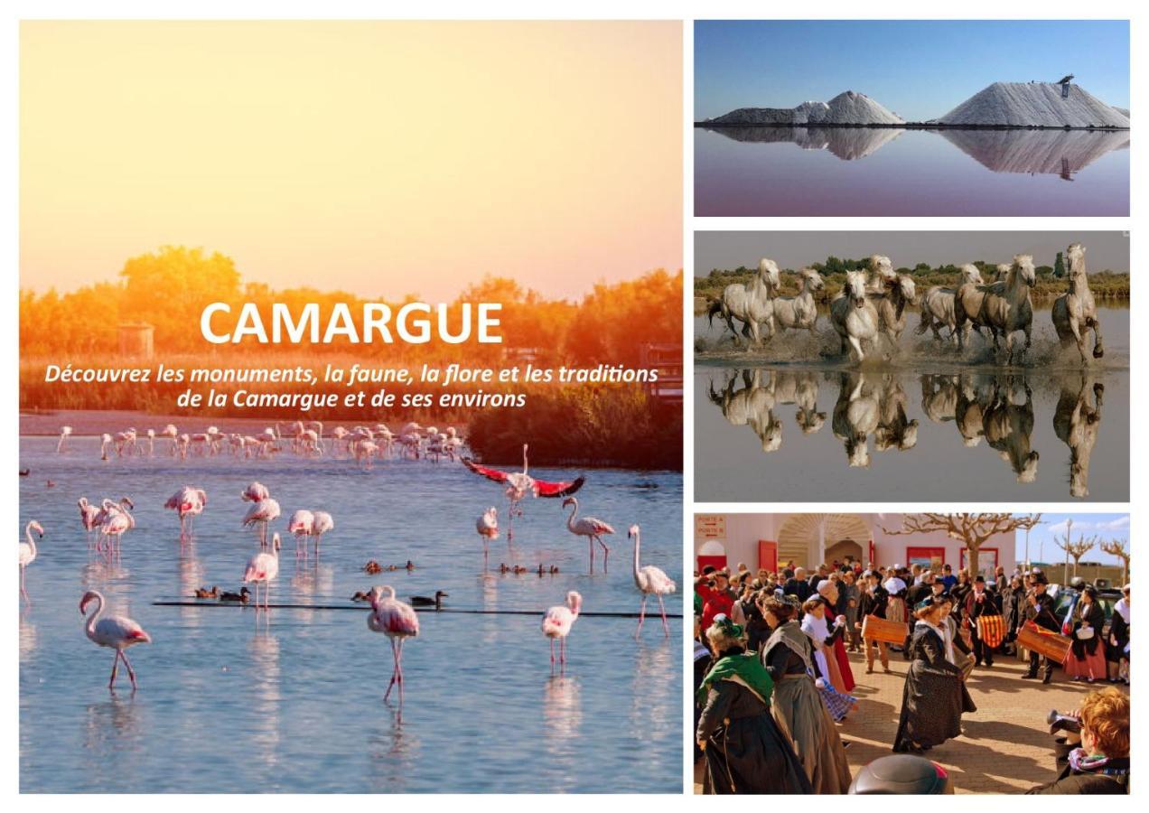 Le Mazet Sooksabai, Confort, Charme Et Decouverte En Petite Camargue Сен-Лоран-д'Егуз Екстер'єр фото